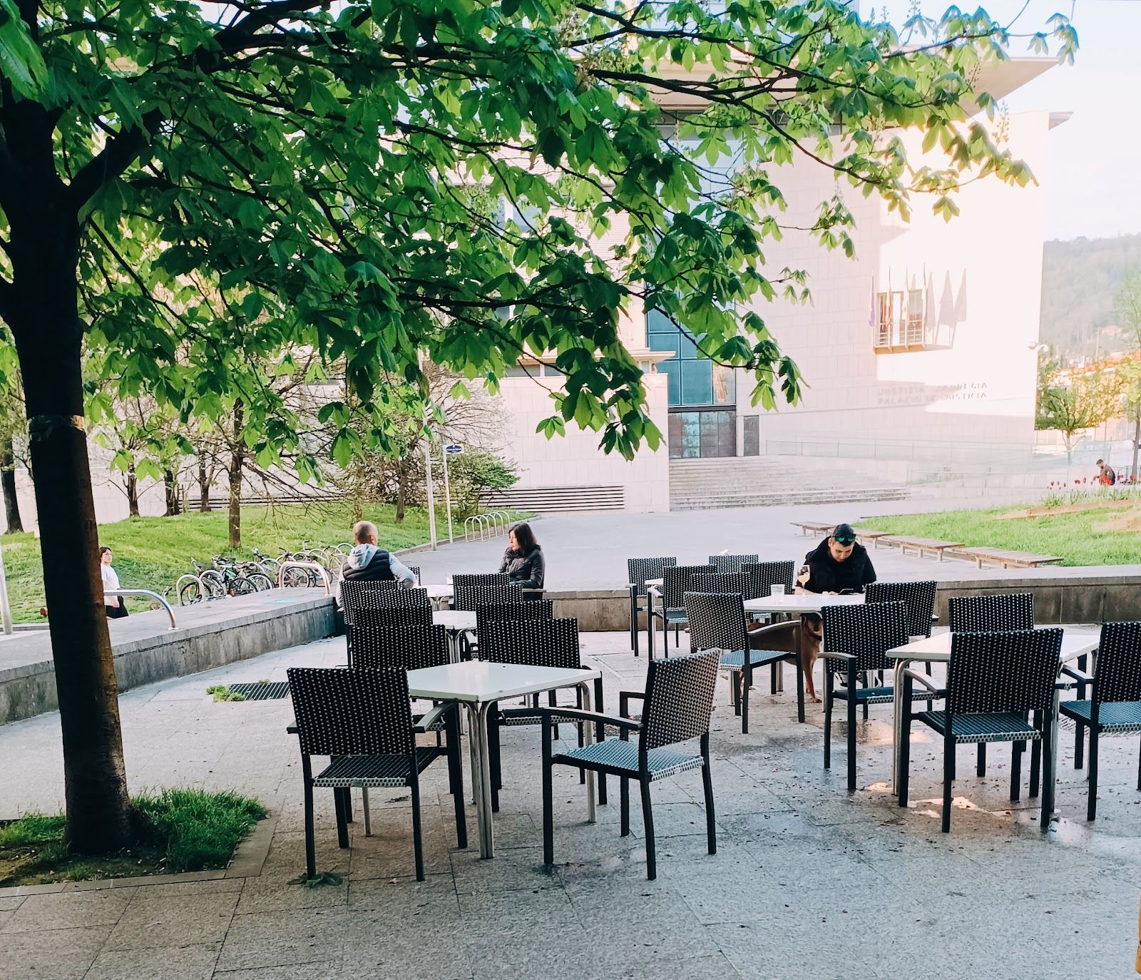 Terraza a la sombra de los árboles
