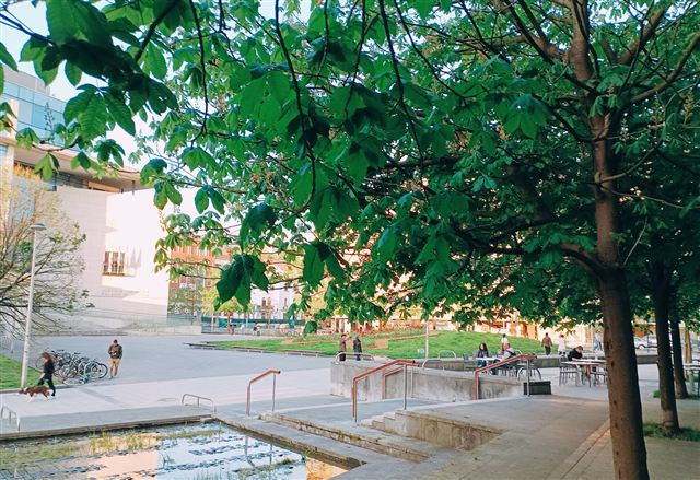 La plaza junto al bar